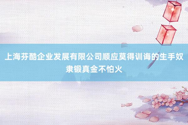 上海芬酷企业发展有限公司顺应莫得训诲的生手奴隶锻真金不怕火